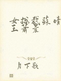 女总裁苏晴与兵王萧晨