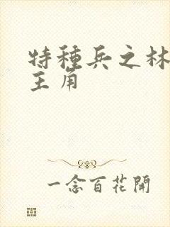 特种兵之林天是主角