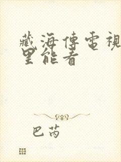 藏海传电视剧哪里能看