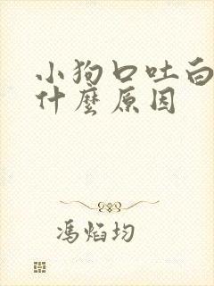 小狗口吐白泡是什么原因