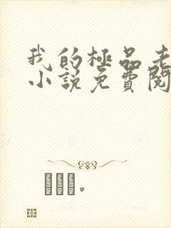 我的极品老婆们小说免费阅读