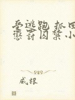 受逃跑 抓回 惩罚囚禁小说