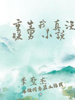 重生我真没想当暖男 小说