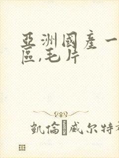 亚洲国产一区二区,毛片