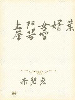 上门女婿叶凡与唐若雪