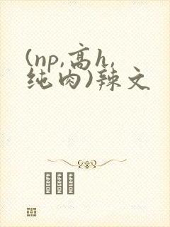 (np,高h,纯肉)辣文