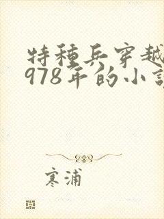 特种兵穿越回1978年的小说