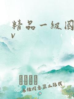 精品一级国产av