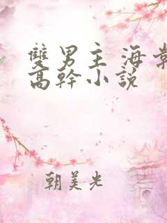 双男主 海棠 高干小说