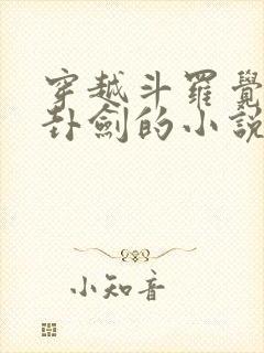 穿越斗罗觉醒八卦剑的小说