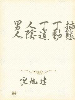 男人丁丁插入女人阴道动态图