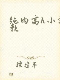 纯肉高h小说调教
