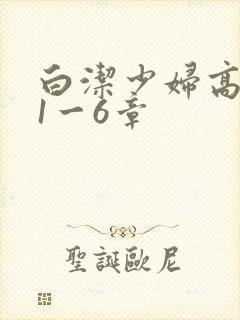 白洁少妇高义第1一6章