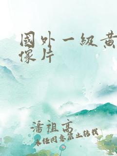 国外一级黄色录像片