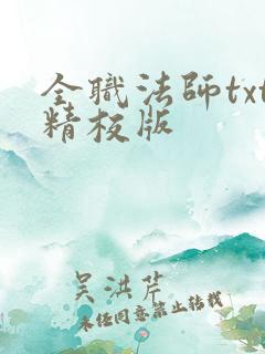 全职法师txt精校版