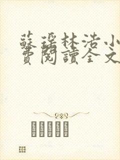 苏瑶林浩小说免费阅读全文最新章节