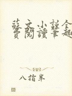 苏文小说全文免费阅读笔趣阁