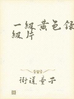 一级黄色录像一级片