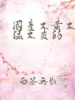 国产又黄又粗又猛又爽的