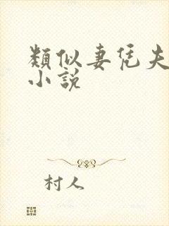 类似妻凭夫贵的小说