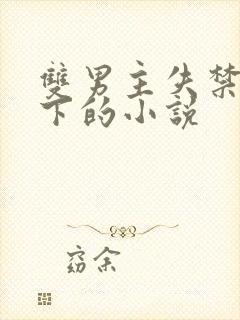 双男主失禁少年下的小说