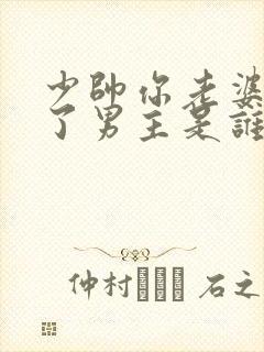 少帅你老婆又跑了男主是谁