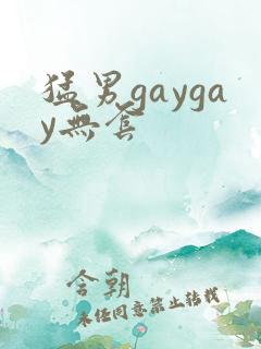 猛男gaygay无套
