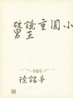 破镜重圆小说双男主