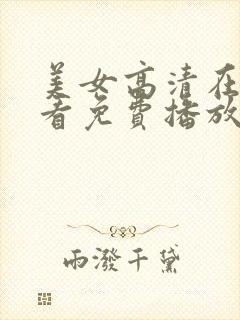 美女高清在线观看免费播放