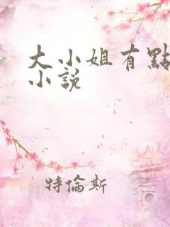 大小姐有点麻烦小说
