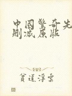 中国惊奇先生无删减原版