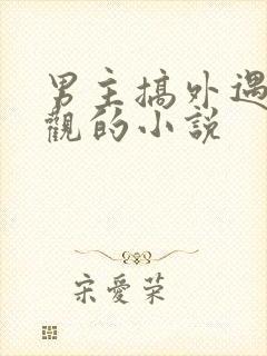 男主搞外遇毁三观的小说