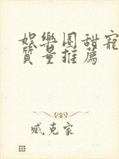 娱乐圈甜宠文高质量推荐