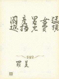 国产男女猛烈无遮挡免费视频