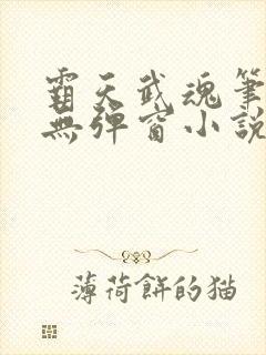 霸天武魂笔趣阁无弹窗小说