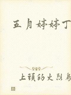 五月婷婷丁香啪