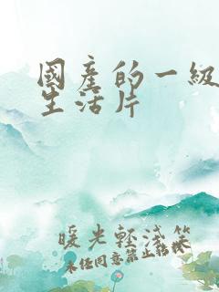 国产的一级黄色生活片