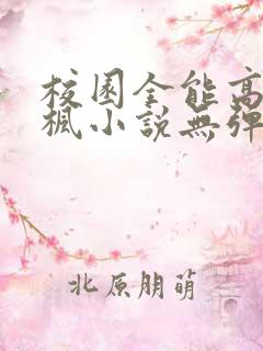 校园全能高手季枫小说无弹窗