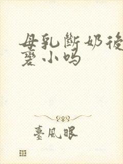 母乳断奶后胸会变小吗