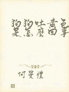 狗狗吐黄色液体是怎么回事