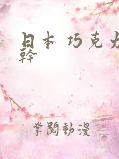 日本 巧克力饼干