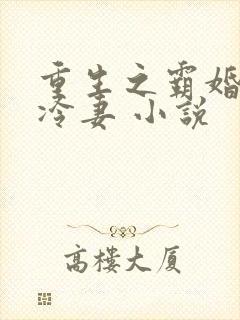 重生之霸婚豪门冷妻 小说