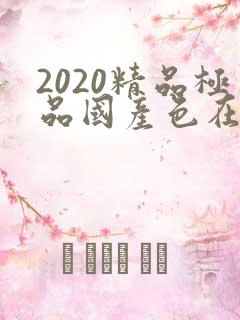 2020精品极品国产色在线观看