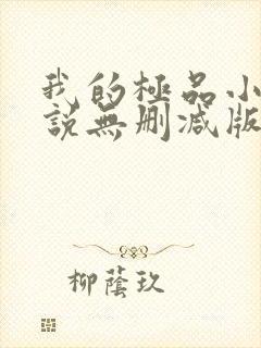 我的极品小姨小说无删减版