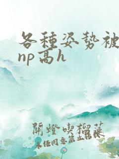各种姿势被学长np高h