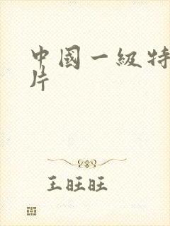 中国一级特黄大片