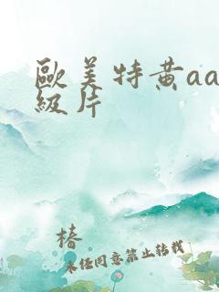 欧美特黄aa一级片