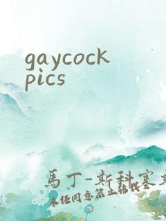 gaycockpics