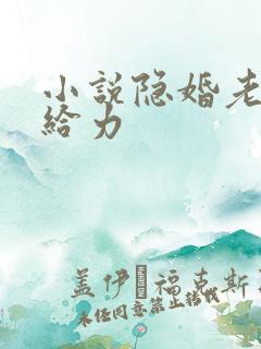 小说隐婚老公超给力