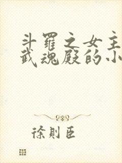 斗罗之女主加入武魂殿的小说